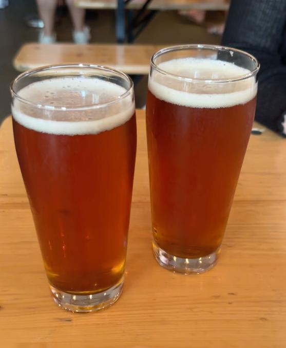 amber color Brooklyn Lager