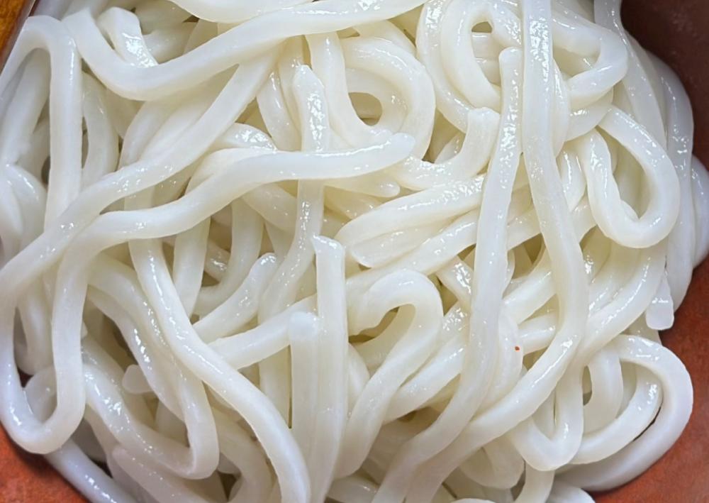 udon noodles