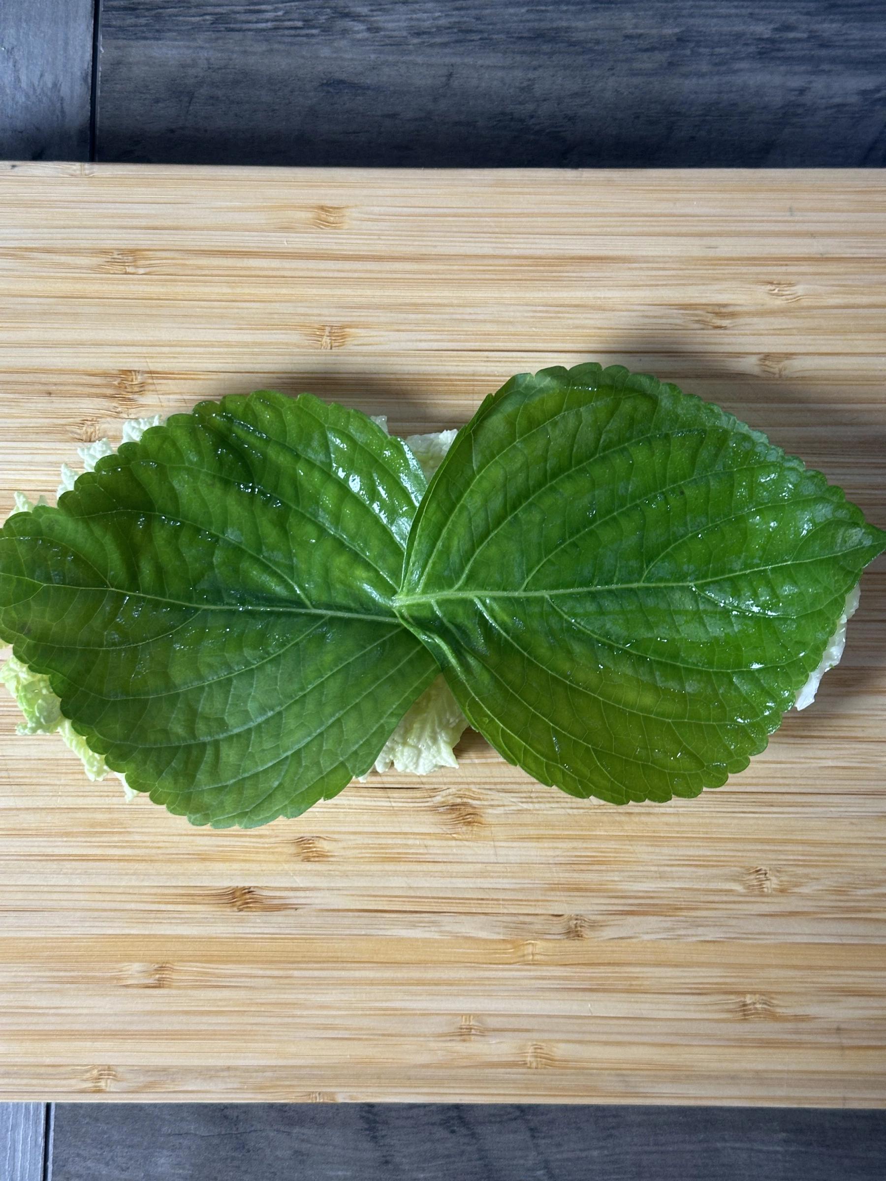 perila leaf on the top of napa cabbage