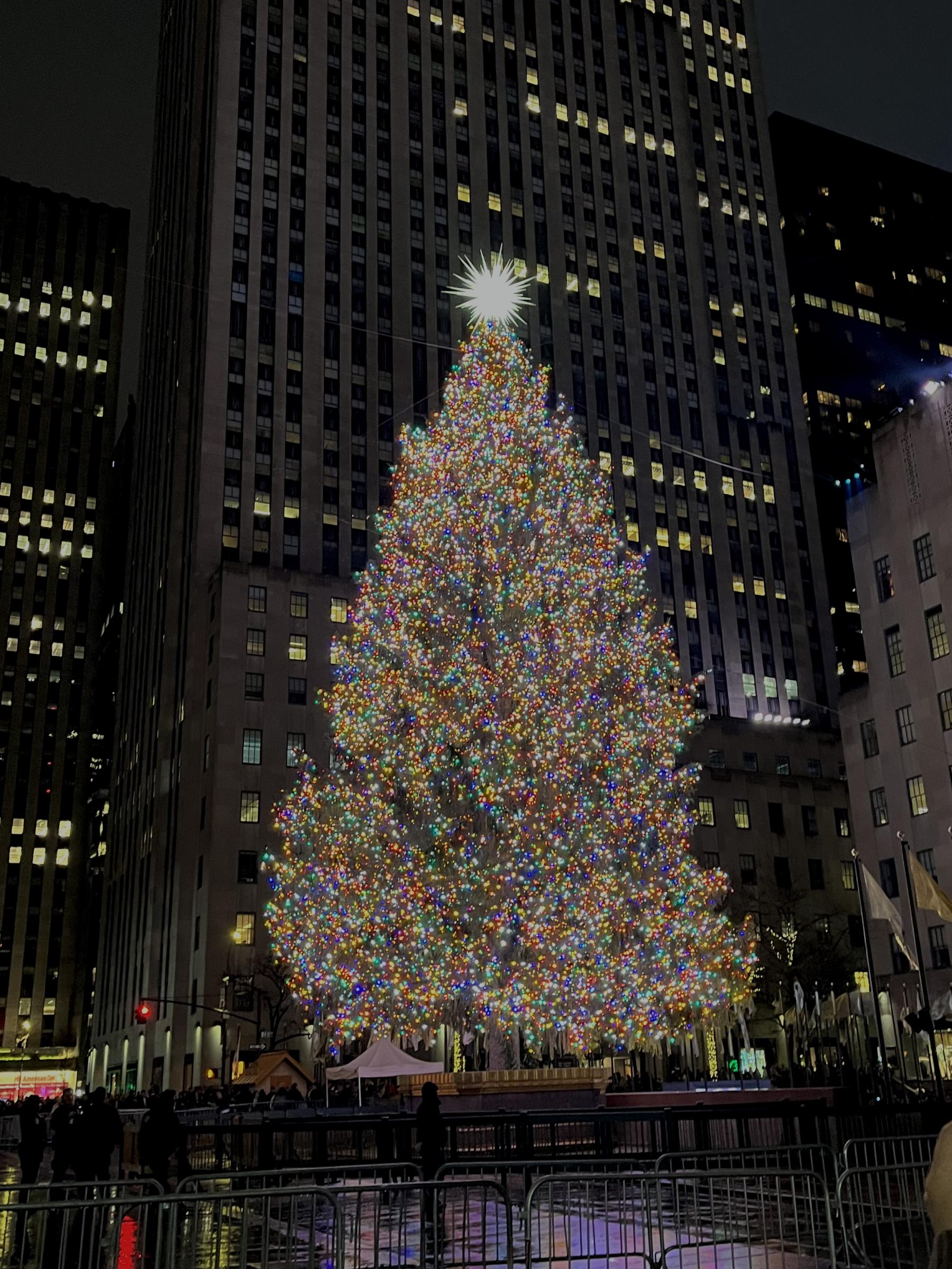 rockefeller center christmas tree 2024