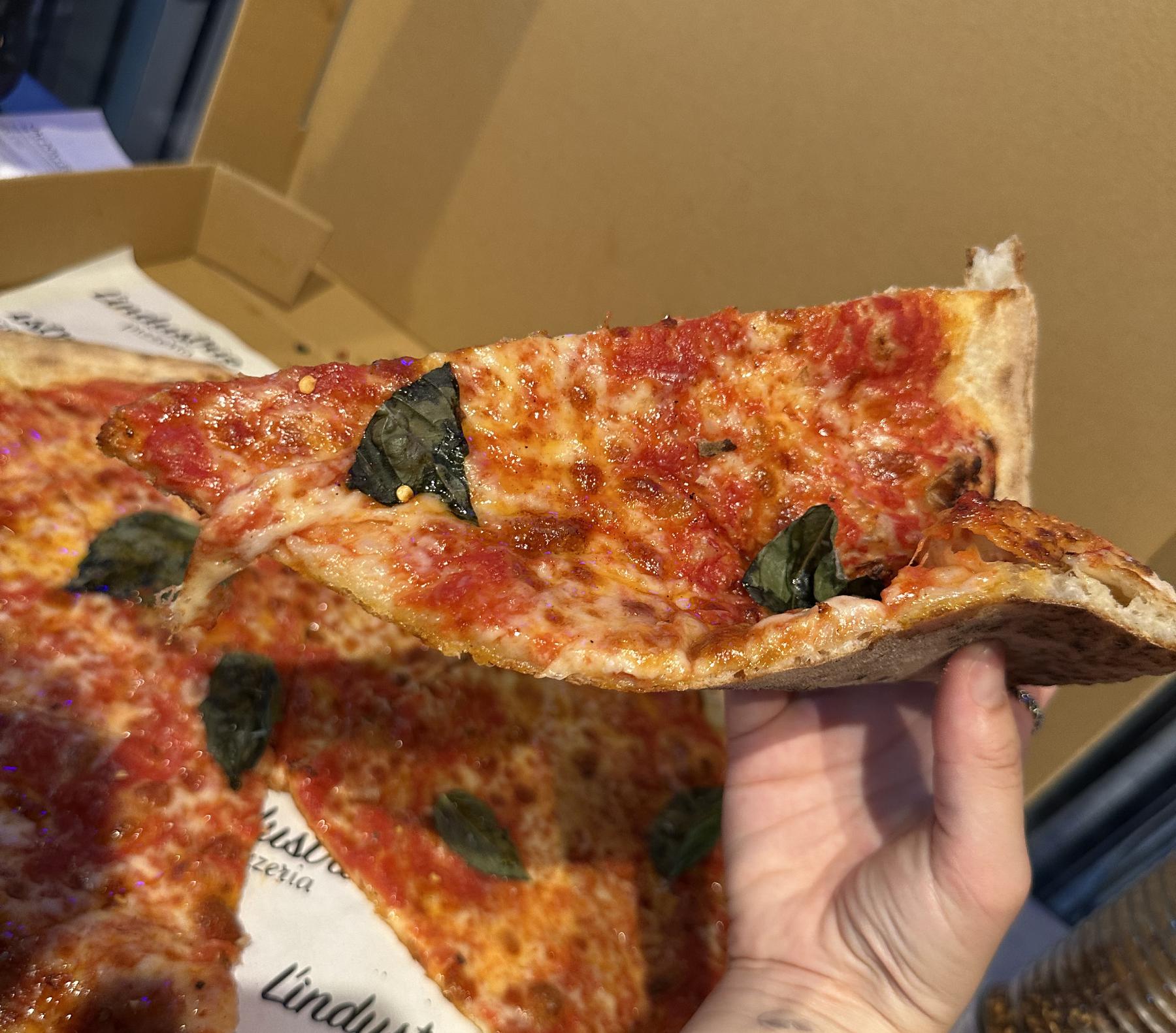 holding pizza slice
