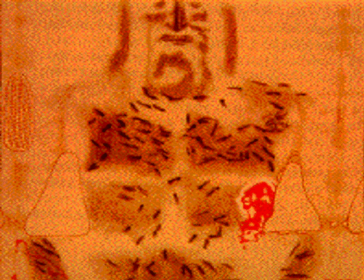裹尸布上肋部的傷口和血跡