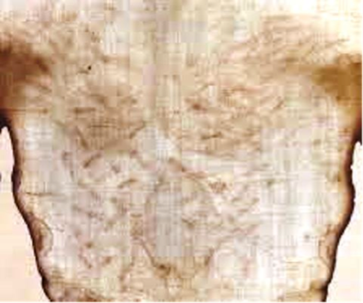 pic1-2
