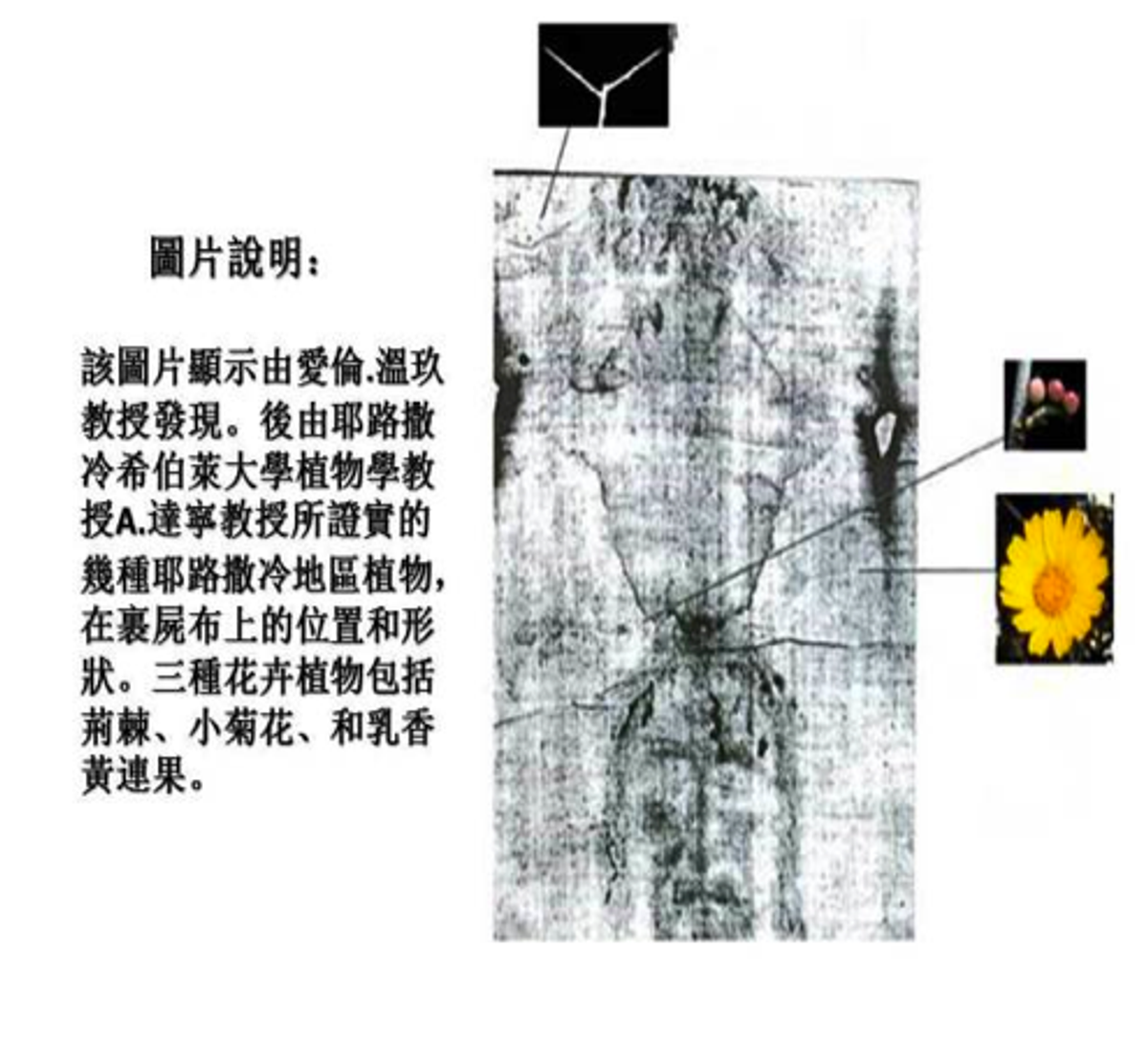 pic11