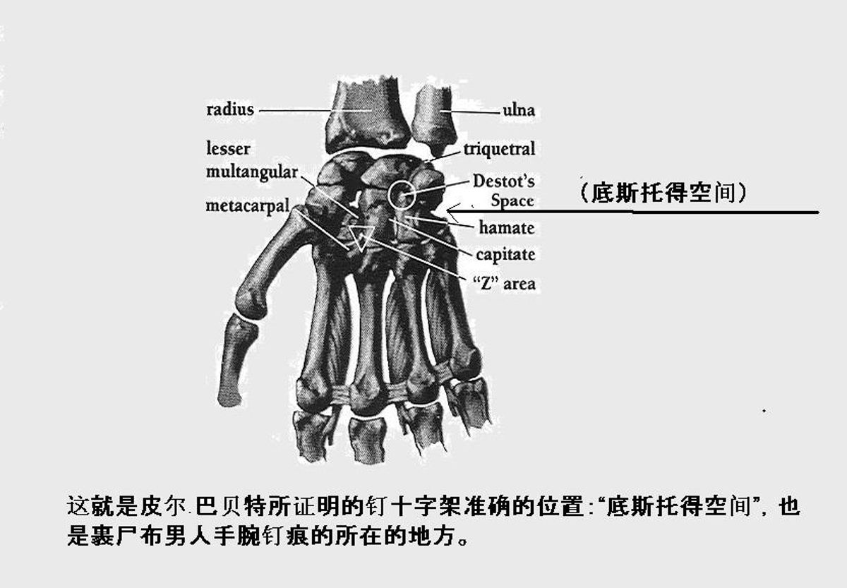 hand_Graph