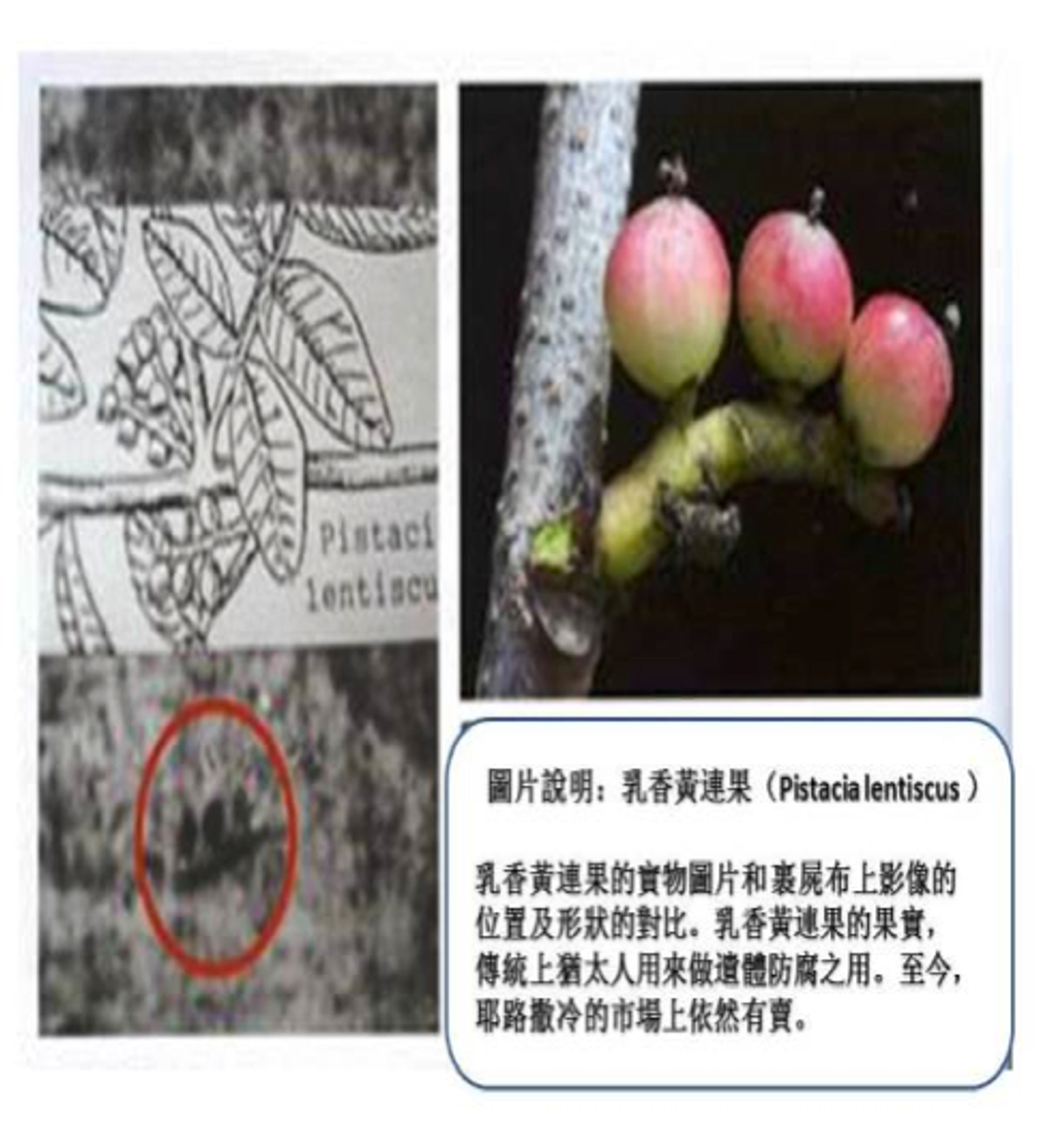 pic12