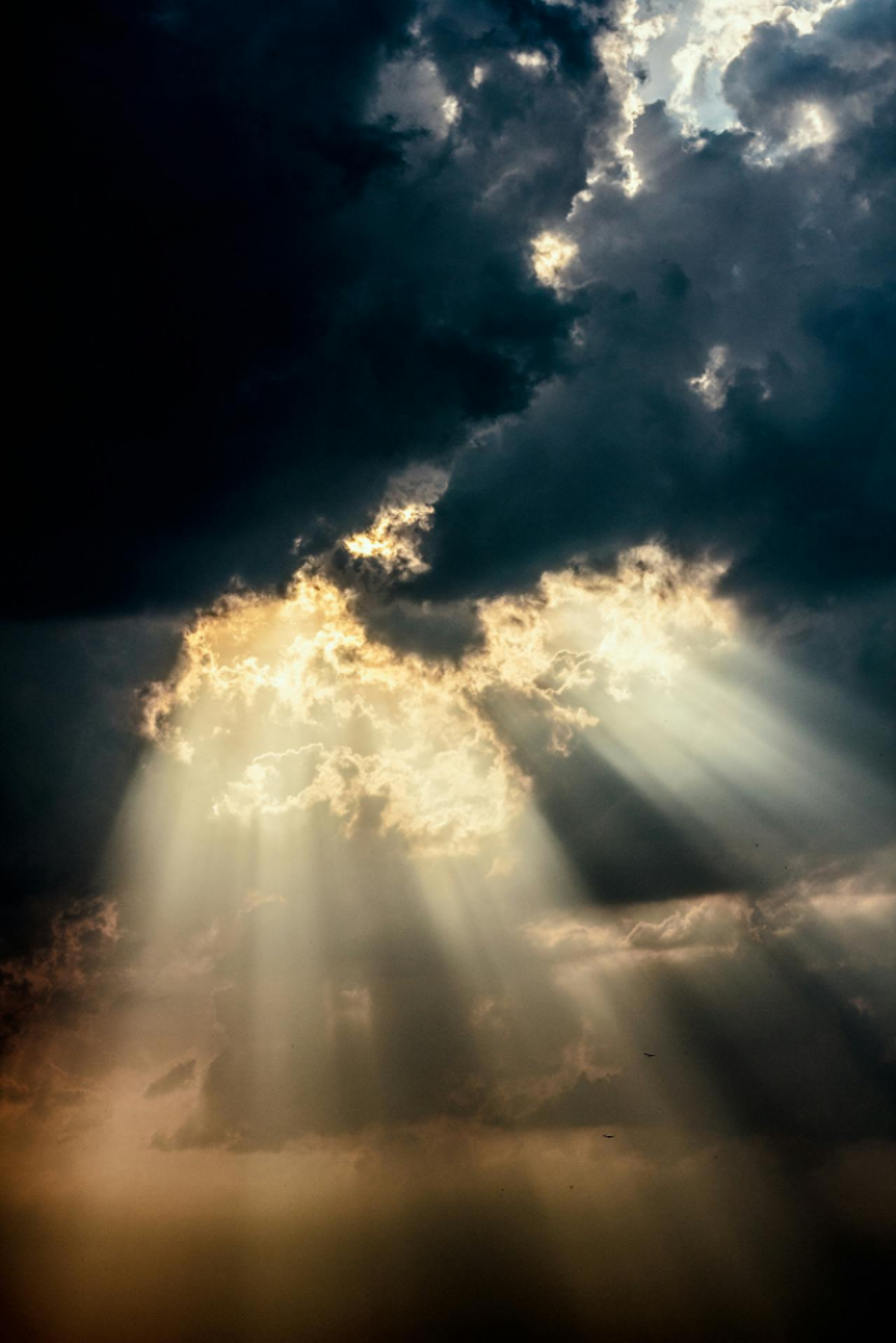 Wolkenlicht - Trauerrednerin Carina Herster