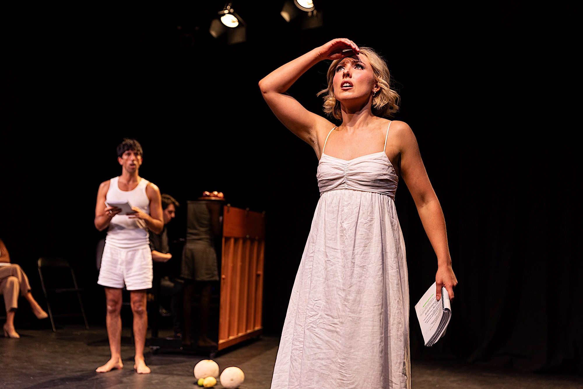 The Apple Tree — Neglected Musicals