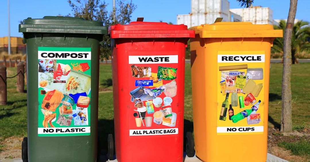 Recycling and Trash in Israel: Which Bin Is for What?
