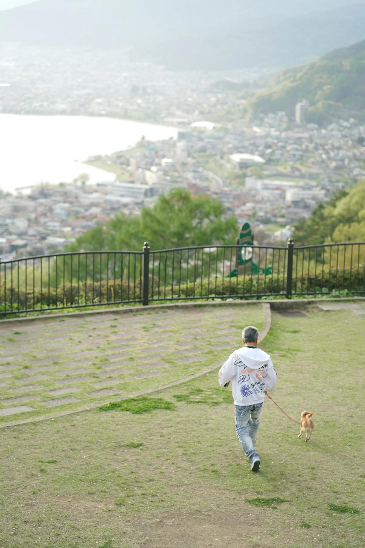 Living with Pets in Israel: Dog Licenses, Vets, Parks and Local Tips