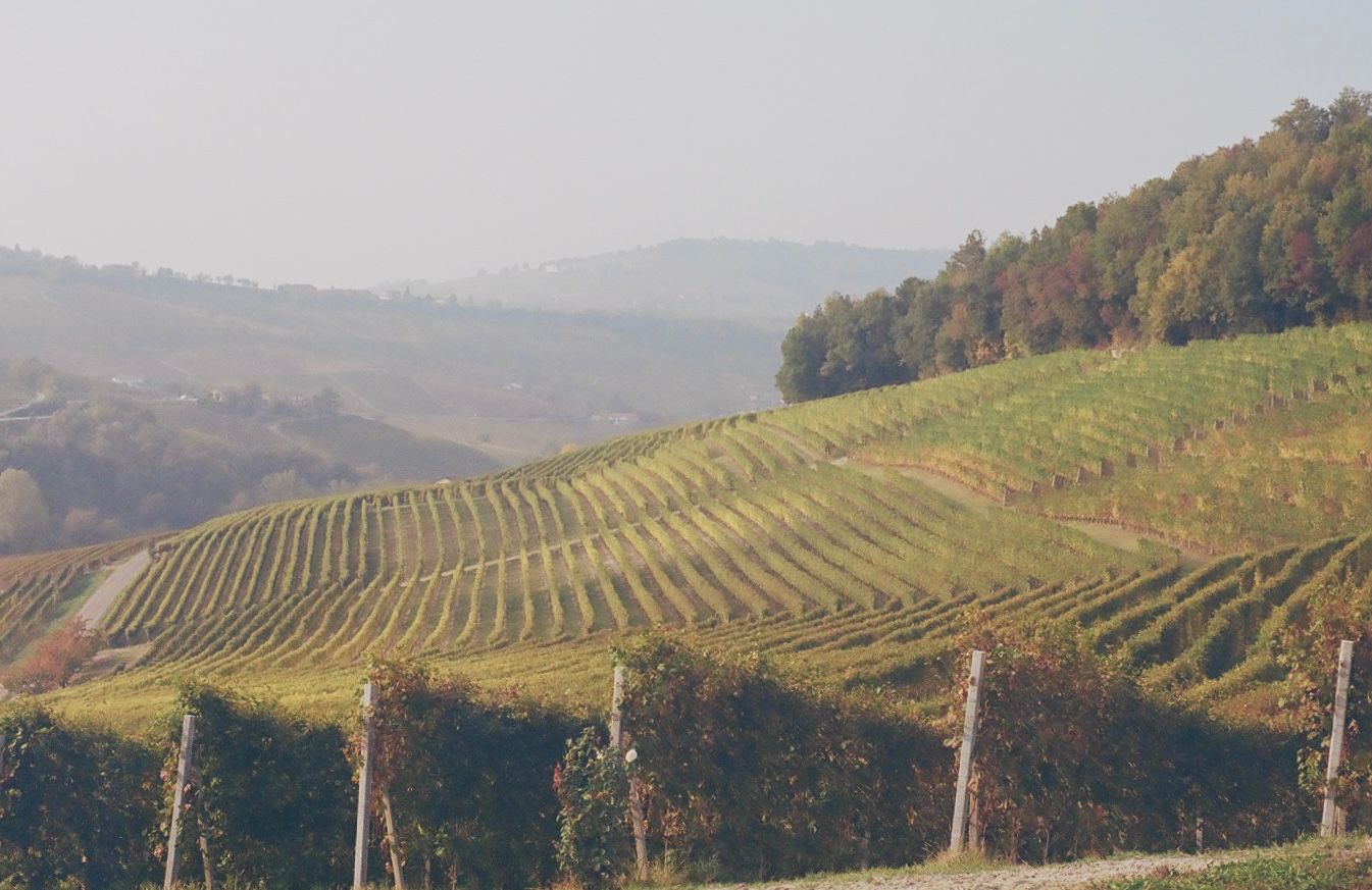 It will be wine