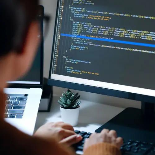 Web Development