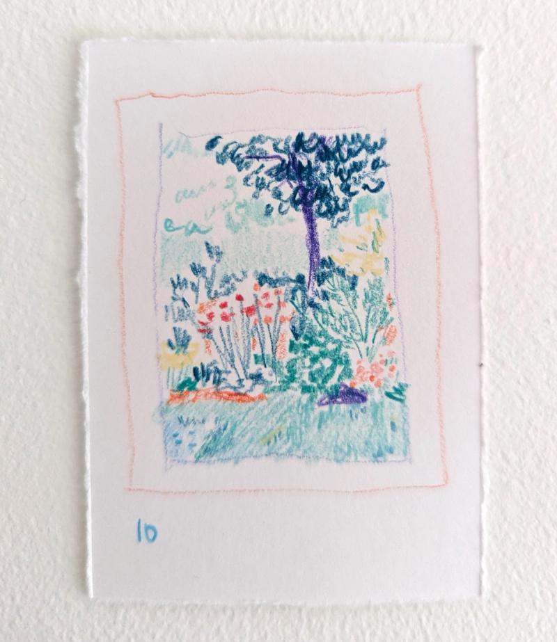 Le jardin breton de Chloé