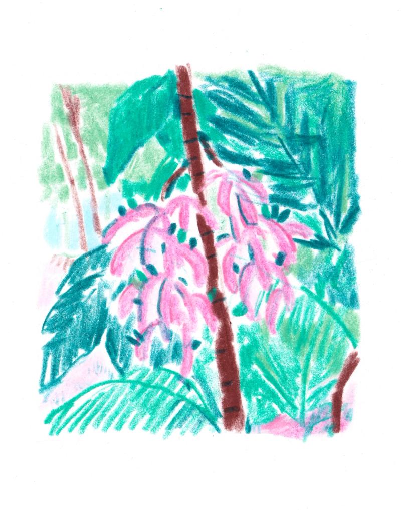 Fragments n°2