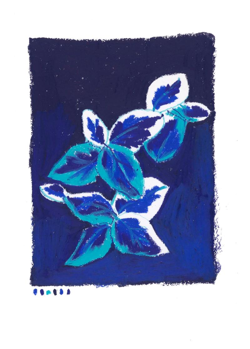 Offrir des fleurs