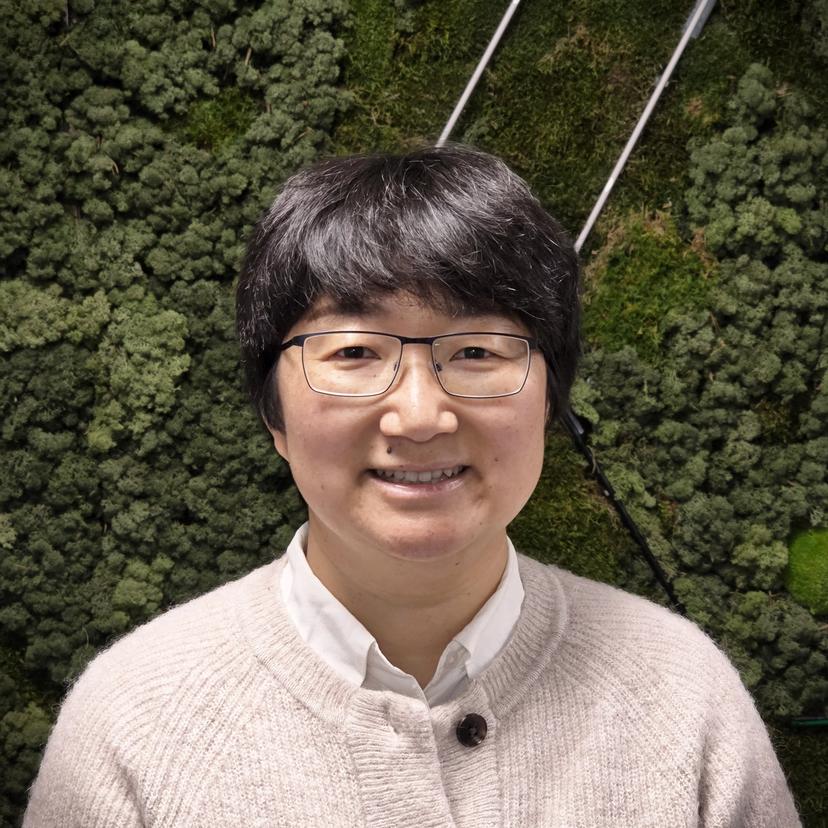 Wenting Xu