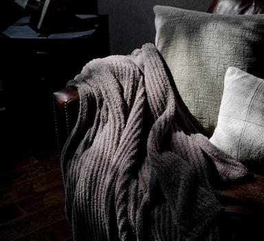 Cloud Ultra Plush Throw on a sofa