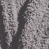 Cloud Ultra Plush Throw