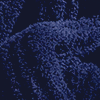 Midnight Ultra Plush Throw