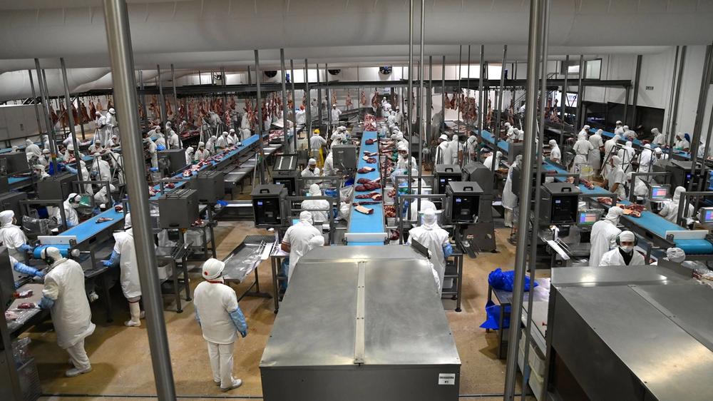 Nuevas Cuotas de Carne Argentina: Impacto Limitado en Mercados Estadounidenses y Europeos