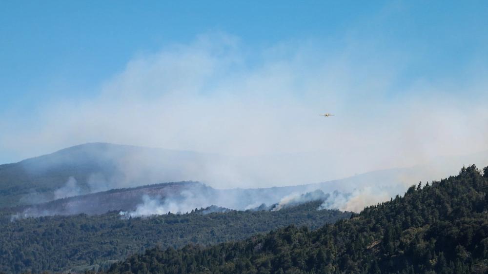 Extinguido el incendio en el Parque Nacional Los Alerces tras ardua labor de más de un mes