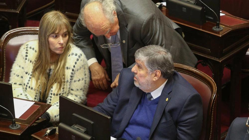 Tensiones internas en el bloque peronista del Senado ponen a prueba su cohesión