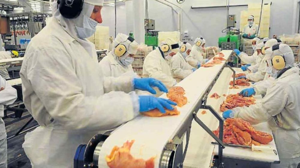 Argentina reactiva exportaciones de carne aviar a la Unión Europea desde el primero de marzo
