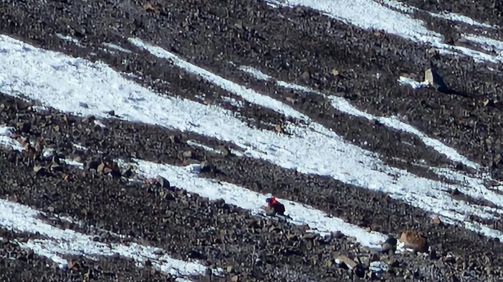 Andinista japonés sobrevive a grave caída en el Aconcagua: Rescate exitoso