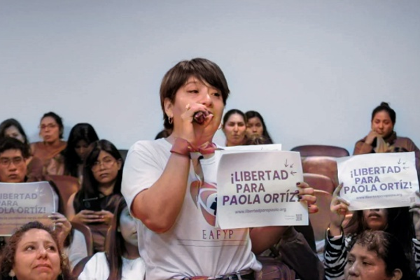 Justicia en el Limite: El Caso Ortiz y la Demanda de Revisión al Tribunal Superior