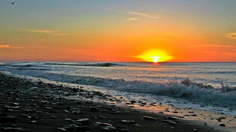 Descubra los Tesoros Ocultos del Sur Bonaerense: Playas, Bosques y Paleontología