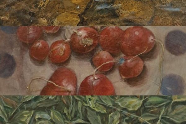 El Arte de Marcos Tatián Bajo la Lupa: Un Análisis de la Naturaleza Suspendida