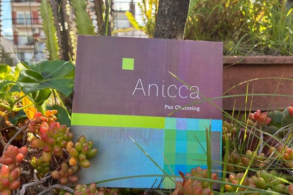 La poesía de Paz Chasseing explora la fugacidad en su primer libro, 'Anicca'