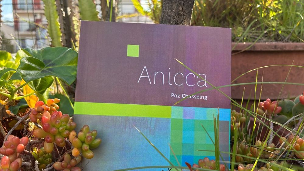 La poesía de Paz Chasseing explora la fugacidad en su primer libro, 'Anicca'