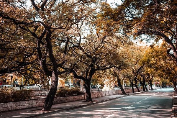 Córdoba disfruta de un respiro otoñal, pero el frío se avecina