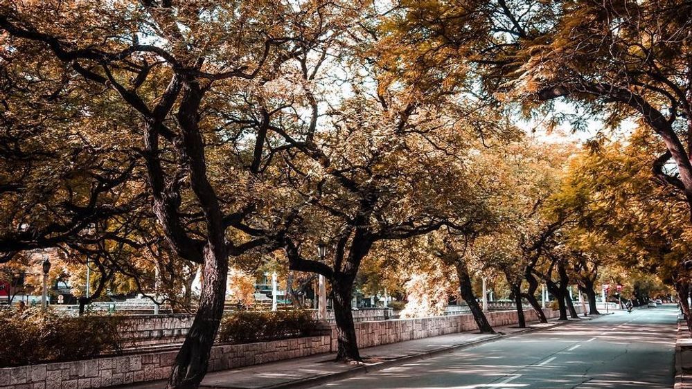 Córdoba disfruta de un respiro otoñal, pero el frío se avecina