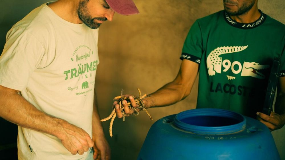 Cerveza Artesanal Cordobesa: Un Vínculo Sustentable con el Bosque Nativo
