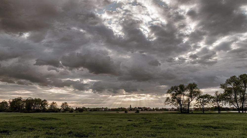 Pronóstico del Tiempo en Córdoba: Miércoles 11 de Febrero con Ambiente Cálido