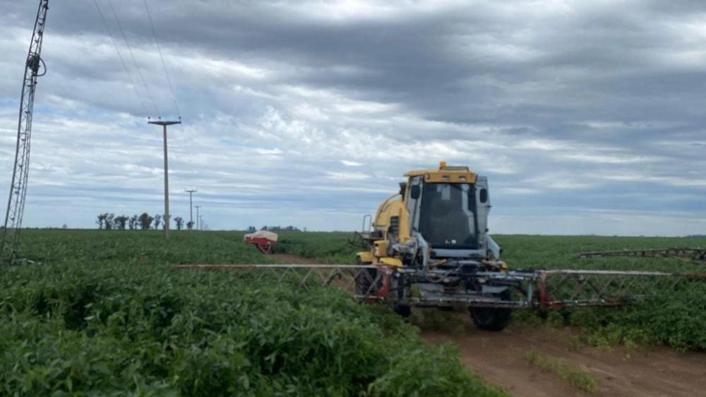 Tragedia rural: Fumigador fallece electrocutado en cercanías de Río Cuarto