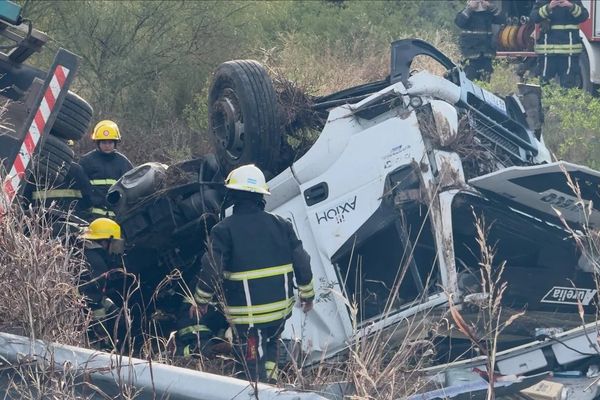 Accidente en Autovía 19: Camión Cargado con Porcinos Volcó Cerca de Arroyito