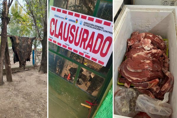 Operativos clausuran establecimientos por faena ilegal y decomisan carne