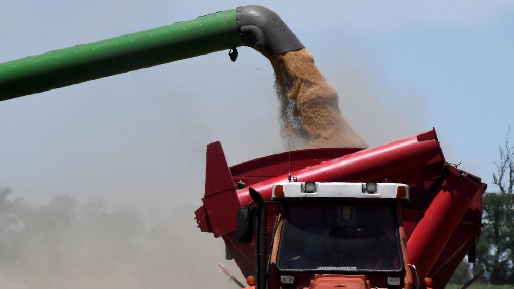 Estimaciones para la Cosecha de Soja Recortadas a 48 Millones de Toneladas por Factores Climáticos