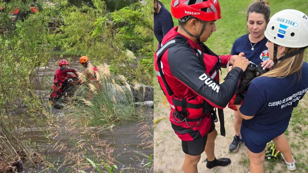 Rescate Animal: Perro a Salvo Tras Quedar Aislado en Río San Antonio
