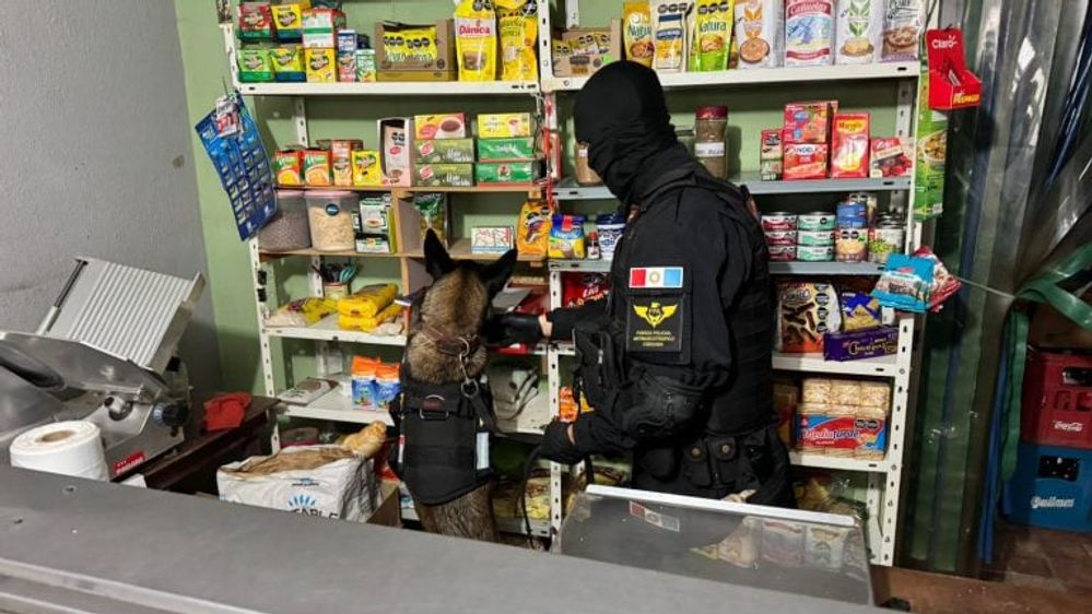 Desmantelan punto de venta de estupefacientes que operaba bajo la fachada de un comercio minorista