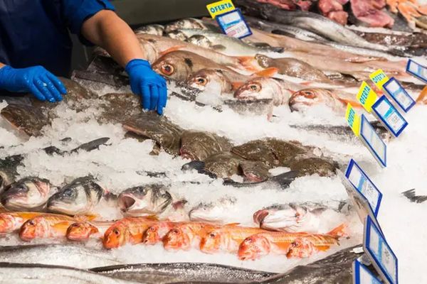Programa 'Pescado para Todos' llega a barrios cordobeses con precios accesibles