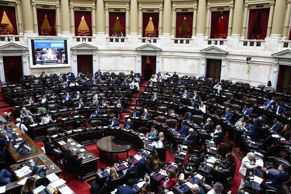 El oficialismo busca avanzar con proyectos clave en la Cámara de Diputados