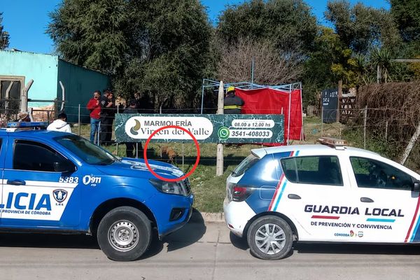 Tragedia en la ciudad: niña de cuatro años fallece tras ser atacada por un perro