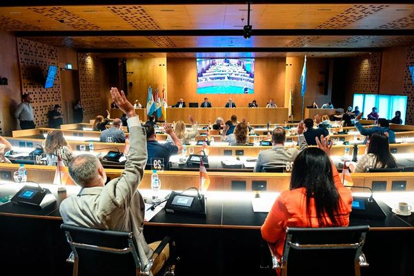 Reglamentación definirá alcance de la nueva ordenanza municipal