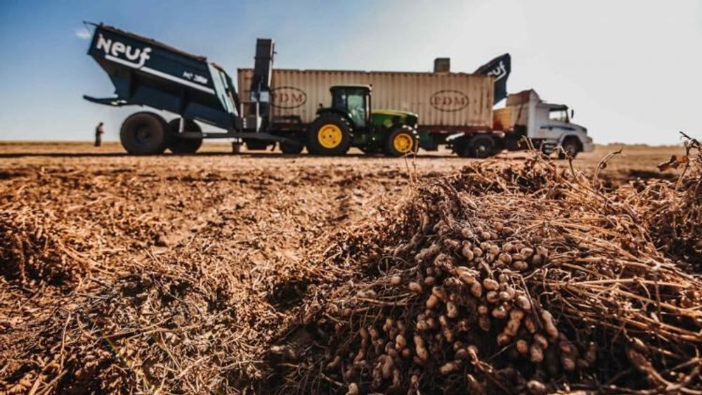 Alimentos argentinos presentes en tres de cada cuatro mesas del mundo