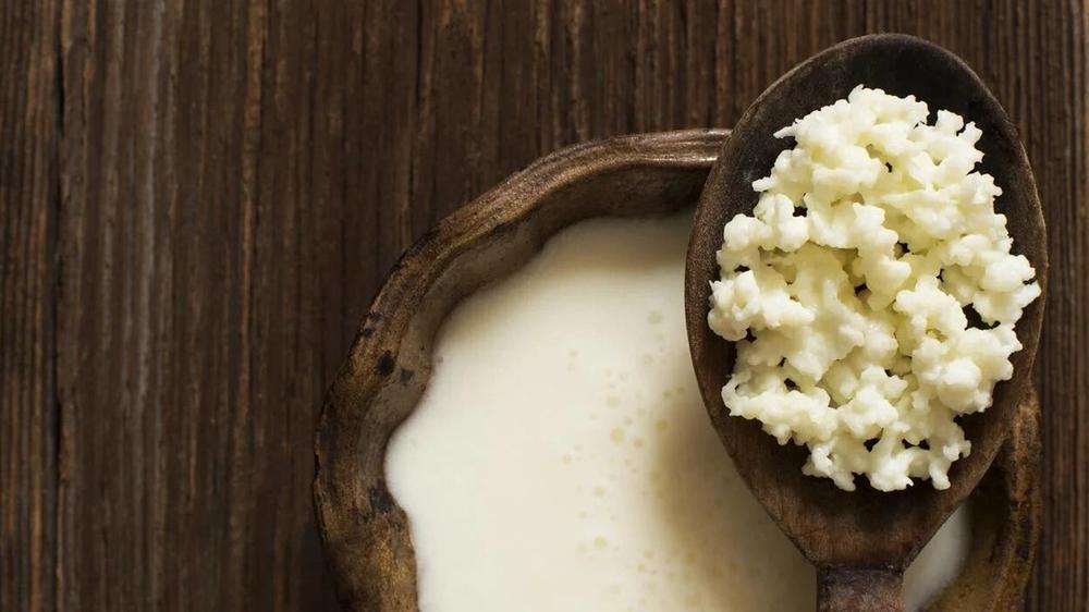 Elaboración doméstica de kéfir: una alternativa probiótica para combatir el calor estival