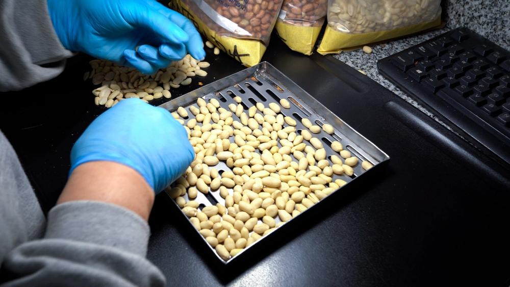 El Paicor incorpora maní cordobés para complementar la alimentación de sus beneficiarios